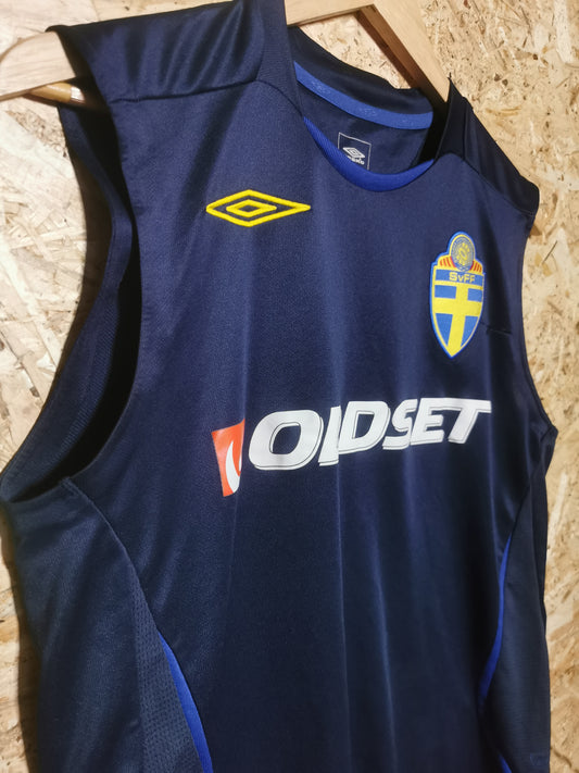 Authentic 2008 Sweden Player Issue Training Vest (Image 2)