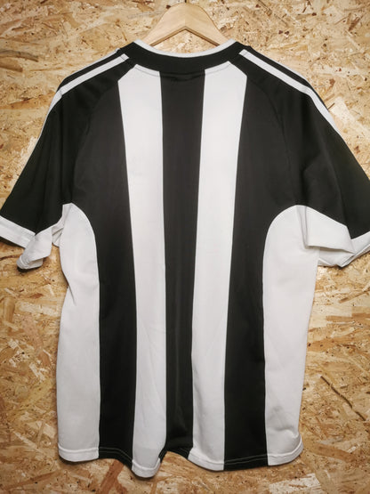 2001 Newcastle Home, Large