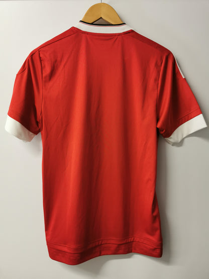 2015 Man United Home, Small