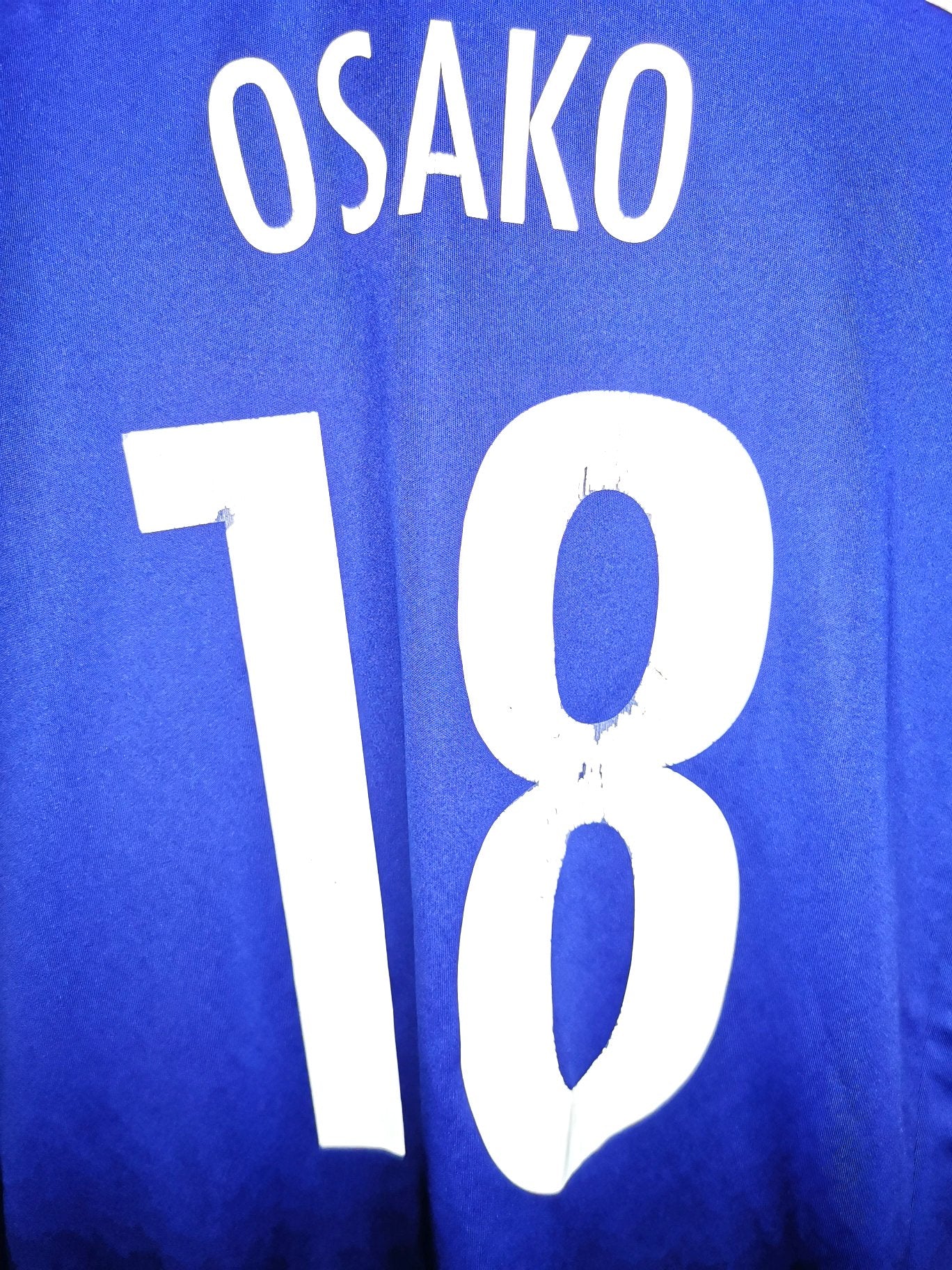 2014 Japan Home 'Osako 18', Large