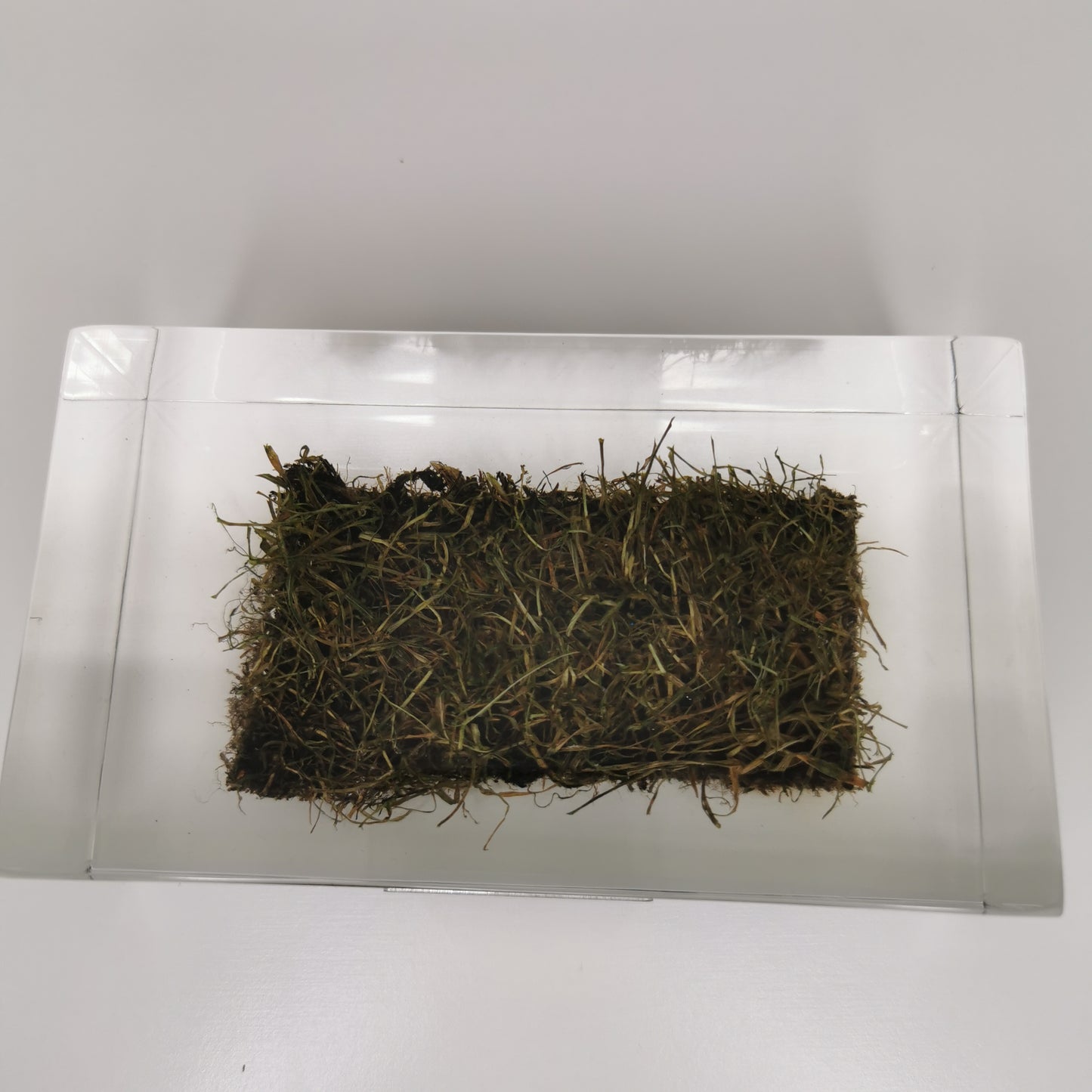 Raffle: 2006 World Cup Final Pitch