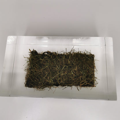 Raffle: 2006 World Cup Final Pitch