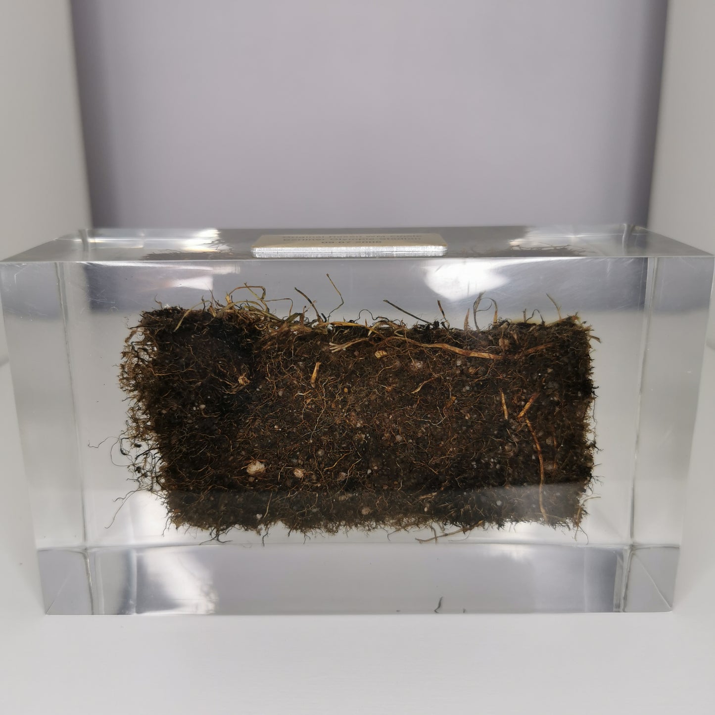 Raffle: 2006 World Cup Final Pitch