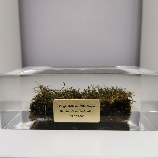 Raffle: 2006 World Cup Final Pitch