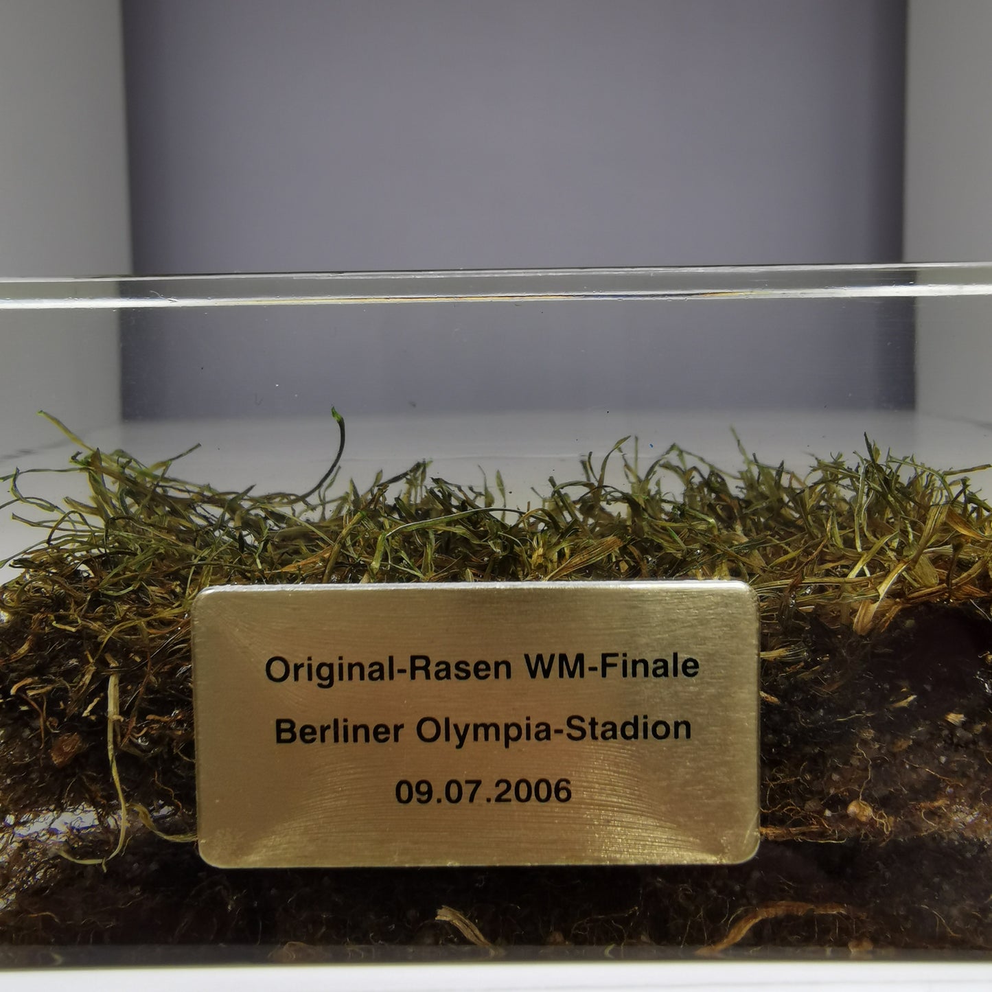 Raffle: 2006 World Cup Final Pitch